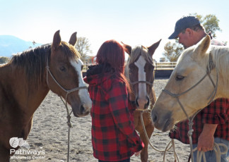 A group of people providing mental health care to individuals struggling with drug addiction standing around a group of horses.