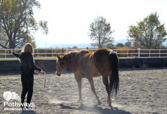 A woman is standing next to a horse at a drug rehab in Utah.
