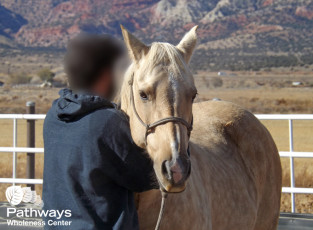 A person seeking mental health care finds solace in petting a horse against the backdrop of mountains.